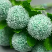 Тычинки для цветов "Шарик мохнатый зелёный" d=1,5-2 см 1 букет=10 шт 10 см Тычинки для цветов "Шарик мохнатый зелёный" d=1,5-2 см 1 букет=10 шт 10 см