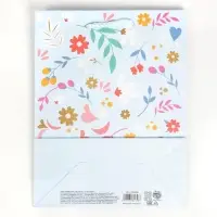 Пакет подарочный ламинированный, упаковка, Present for you, MS 18 х 23 х 8 см
