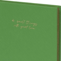 Ежедневник недатированный зеленый, А5 136 л., Do small things, ATTACHE