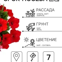 Семена цветов Петуния &laquo;САКСЕСС! 360&deg;&raquo; Ред, F1, 7 шт., Benary, &laquo;АЭЛИТА&raquo;