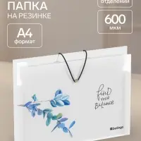 Папка А4 Spring, 12 отделений, 600 мкм, на резинке, с рисунком