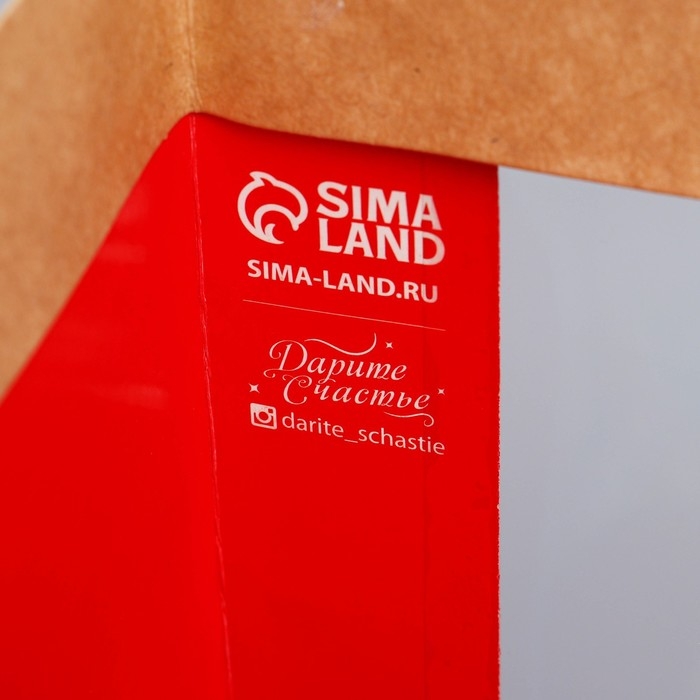 Пакет подарочный новогодний крафтовый с пластиковым окном «Happiness», 31 х 26 х 11 см Пакет подарочный новогодний крафтовый с пластиковым окном «Happiness», 31 х 26 х 11 см