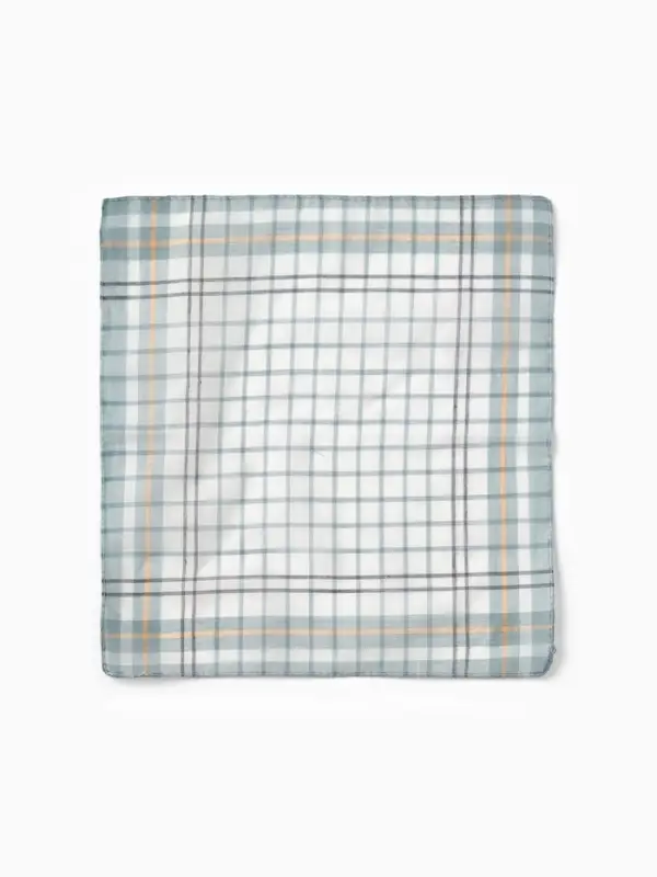 Платки носовые мужские Экономь и Я  Платки носовые мужские Экономь и Я "Квадрат" 38*38 см, (набор 10 шт), рис. МИКС,100% пэ