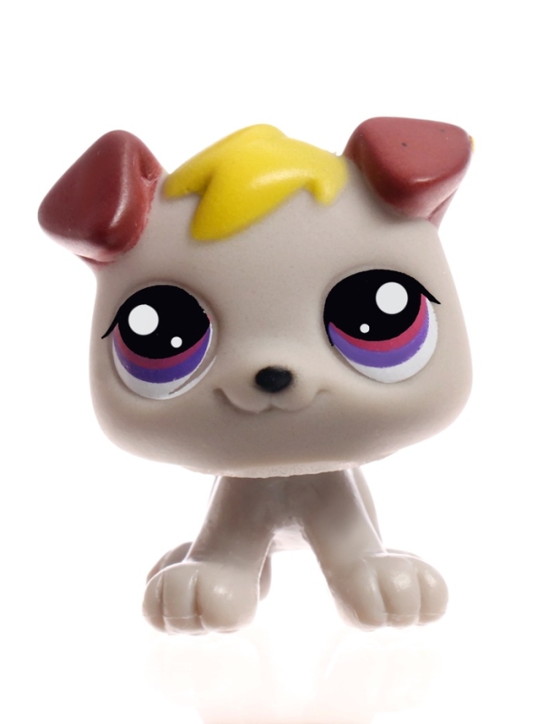 Набор игрушек  Набор игрушек "Crazy Pets" 10 шт МИКС