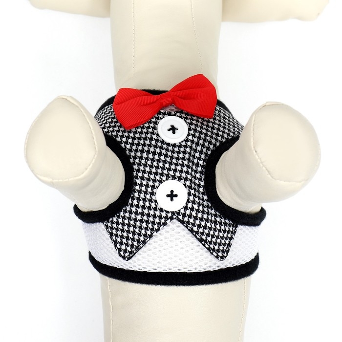 Комплект с мягкой шлейкой и бантиком , размер S, поводок 120 x 1,5 см, ОГ 23-42 см, серый Комплект с мягкой шлейкой и бантиком , размер S, поводок 120 x 1,5 см, ОГ 23-42 см, серый