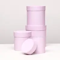 Набор шляпных подарочных коробок 4 в 1 &laquo;Нежно-розовый&raquo;, 20&times;20 ‒13&times;13 см