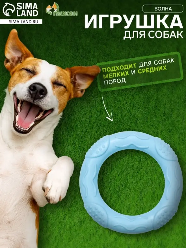 Жевательная игрушка дял собак &laquo;Волна&raquo;, 7&times;1 см, TPR, голубая