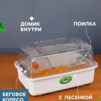 Клетка для грызунов с наполнением &laquo;Пижон&raquo;, 33&times;21&times;19 см, прозрачная, белая