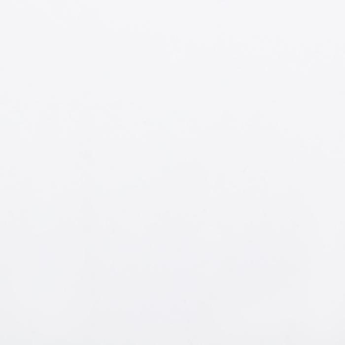 Пленка для цветов Пленка для цветов "Люкс", матовая, белая, 0,6 х 10 м, 200 г, 40 мкм