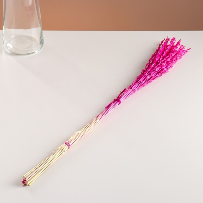 Набор сухоцветов Набор сухоцветов "Райграс", банч 21 шт, длина 60 (+/- 6 см), фуксия