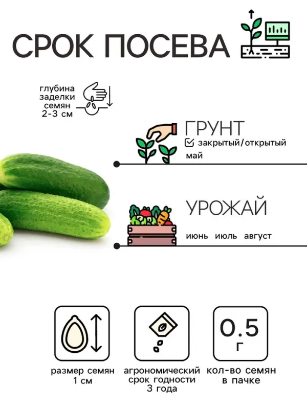 Семена Огурец "Нежинский", 0,5 г