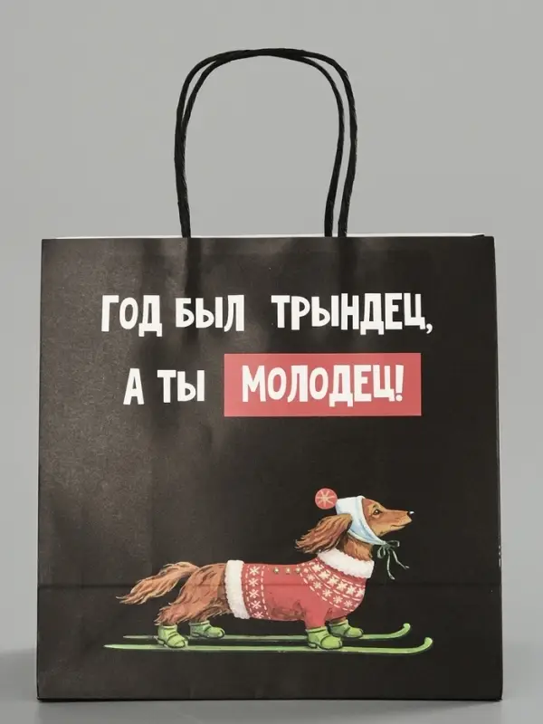 Пакет подарочный крафт &laquo;Молодец&raquo;, 22&times;22&times;11 см