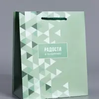 Пакет подарочный ламинированный &laquo;Радости и позитива&raquo;, зелёный, 18&times;22.3&times;10 см