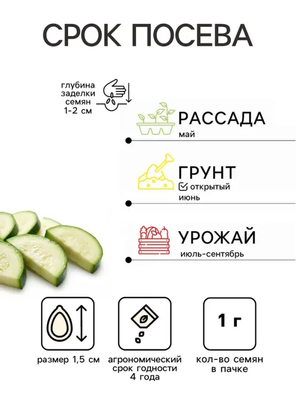 Семена Кабачок &laquo;Стахановец&raquo;, 1 г, ранний, &laquo;АгроСидсТрейд&raquo;