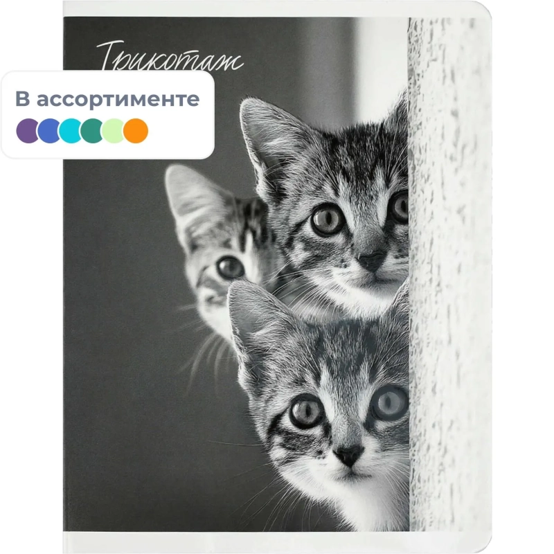 Тетрадь 48 л, клетка  МОНОХРОМНЫЕ КОТЫ А5+,  в ассорт/70920
