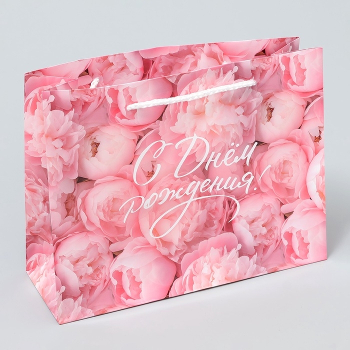 Пакет подарочный ламинированный, упаковка, «С Днём рождения!», MS 23 х 18 х 8 см