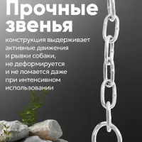 Цепь для привязи собак, 3 м, калибр 3&times;16 мм, белая