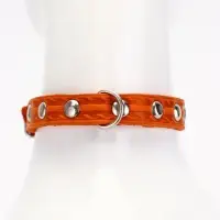 Ошейник кожаный однослойный украшенный, 1,2 см, ОШ 20-26 см микс цветов Ошейник кожаный однослойный украшенный, 1,2 см, ОШ 20-26 см микс цветов