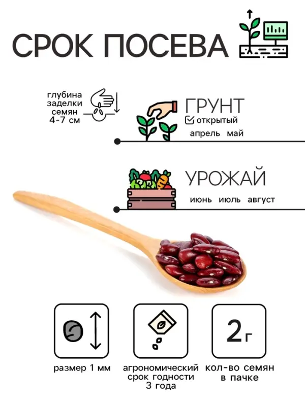 Семена Бобы  Семена Бобы "Русские черные", 2 г