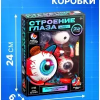 Набор для опытов &laquo;Строение глаза&raquo;, анатомическая модель