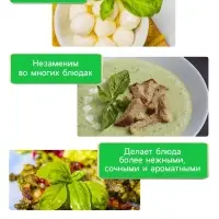 Семена Базилик &laquo;Крупнолистный&raquo;, 0.2 г, &laquo;Рецепты дедушки Никиты&raquo;