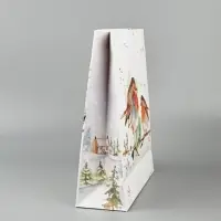 Набор пакетов «Новый год», 3 шт, 26 × 30 × 9 см Набор пакетов «Новый год», 3 шт, 26 × 30 × 9 см