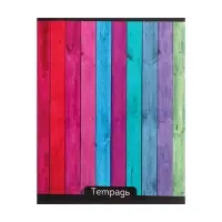 Тетрадь 48 листов в клетку Calligrata &laquo;Яркие цвета&raquo;, МИКС