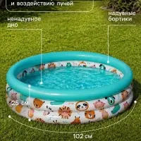 Бассейн надувной &laquo;Океан&raquo;, 102&times;25 см, от 2 лет, МИКС, 51008 Bestway