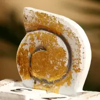 Календарь настольный «Ракушка», 10×7×5.4 см, дерево, белый Календарь настольный «Ракушка», 10×7×5.4 см, дерево, белый