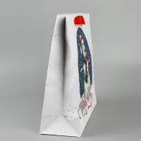 Пакет подарочный новогодний &laquo;С Новым годом&raquo;, 30&times;9&times;25.5 см