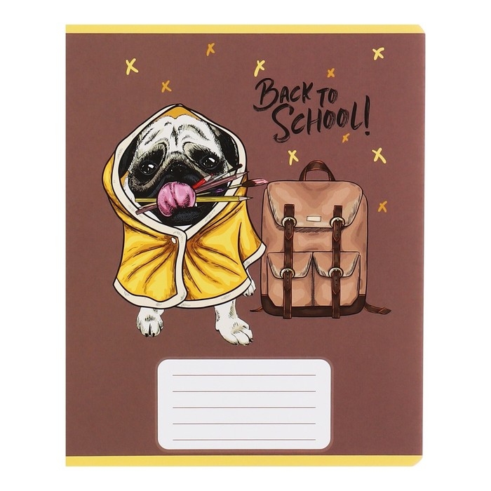 Комплект тетрадей из 10 штук, 12 листов в узкую линию Calligrata Комплект тетрадей из 10 штук, 12 листов в узкую линию Calligrata "Снова в школу", обложка мелованная бумага, ВД-лак, блок офсет, 5 видов по 2 штуки