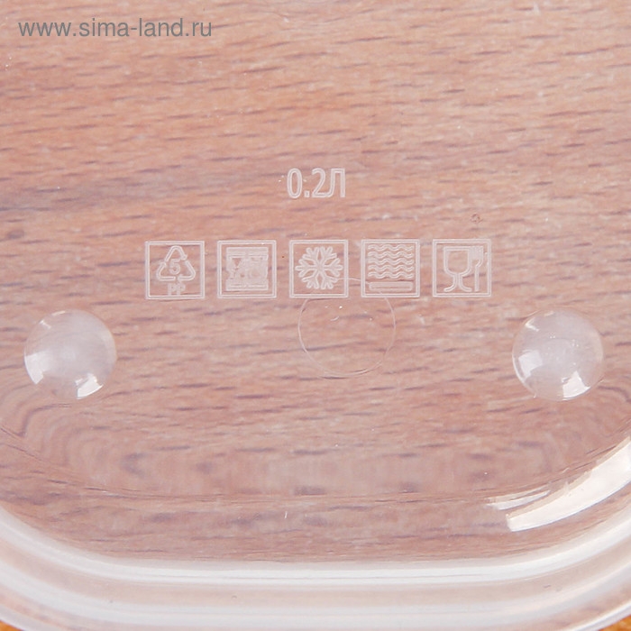 Ланч-бокс прямоугольный FoodVibes «Сочные яблоки», 150 мл