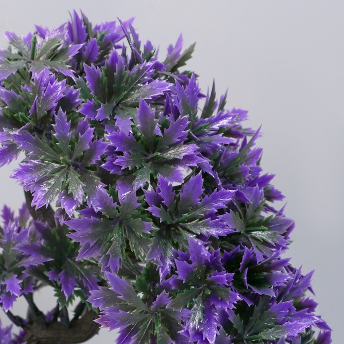 Бонсай в горшке Бонсай в горшке "Деревце остролист" 10х22 см, микс