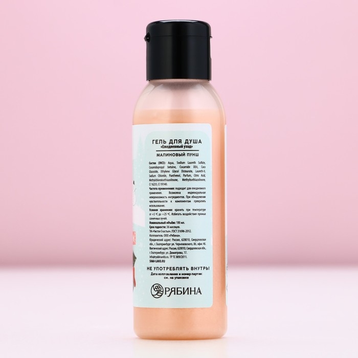Гель для душа «Волшебной зимы», 100 мл, аромат малиновый пунш, Новый Год