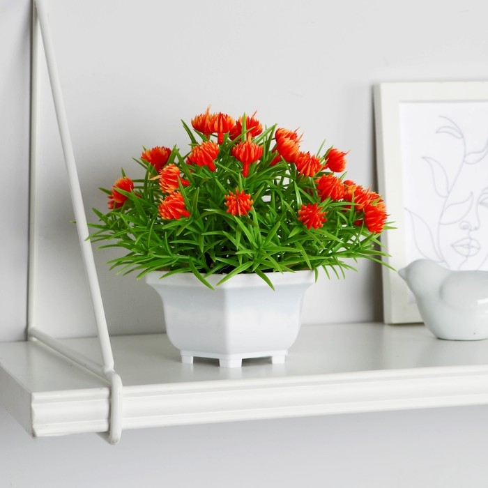 Бонсай в горшке Бонсай в горшке "Портулак кустовой" 11х14 см, микс