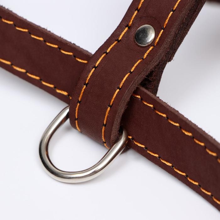 Шлейка кожаная Шлейка кожаная "Прогулочная", 2 см, ОШ 46-58 см, ОГ 78-85 см, коричневая