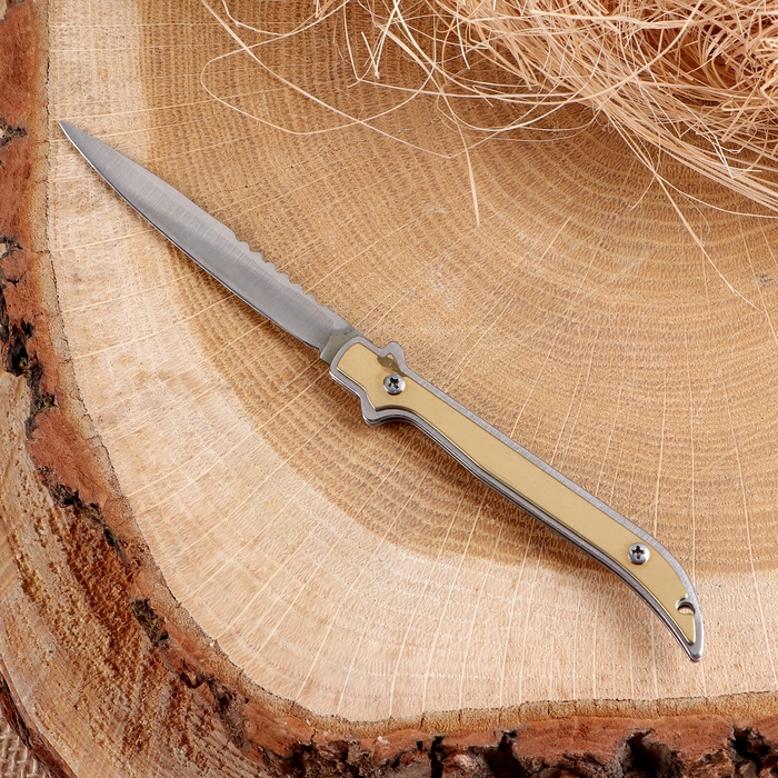 Нож складной Нож складной "Дракон" 14,9 см, клинок 62мм/1мм, песочный