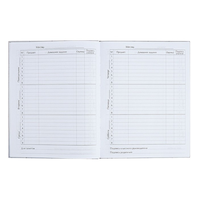 Дневник для 5-11 классов "Современный вайб. Анонимность", твёрдая обложка, матовая ламинация, выборочный лак, 48 листов