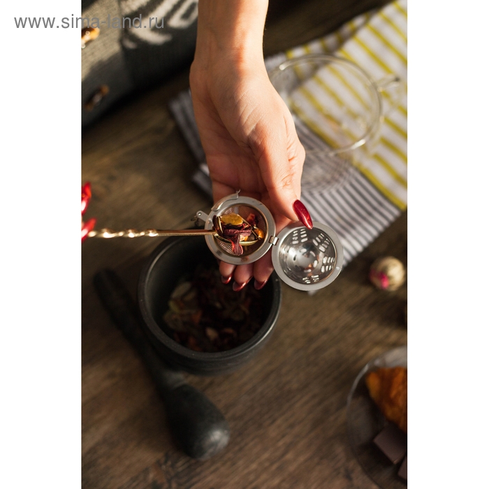 Ситечко для чая Доляна «Ёлочка», d=4,5 см, на цепочке, цвет серебристый Ситечко для чая Доляна «Ёлочка», d=4,5 см, на цепочке, цвет серебристый