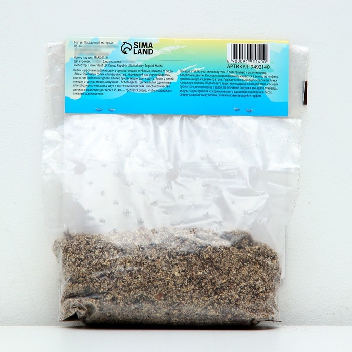 Лилия Азиатская Кашпо Лилия Азиатская Кашпо "Trendy Nicosia", р-р 12/14, 2 шт,