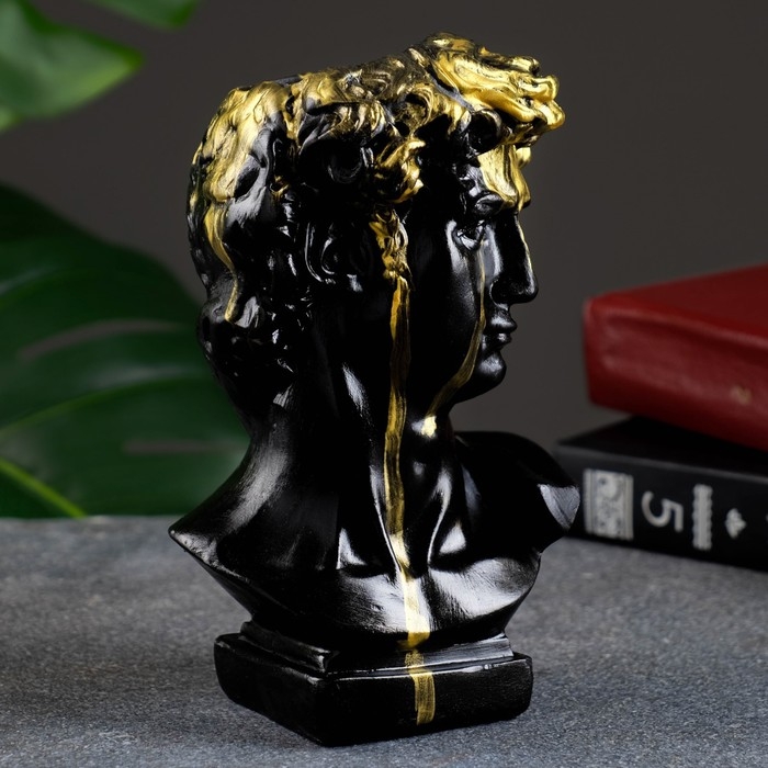 Кашпо - органайзер  Кашпо - органайзер "Бюст Давида" черный, 17х9х10см