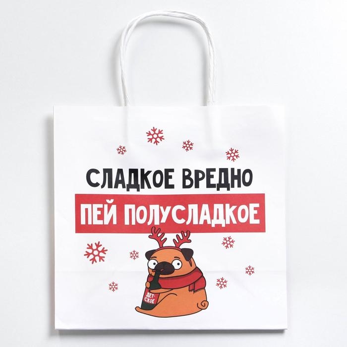 Пакет подарочный новогодний «Сладкое вредно», 22 х 22 х 11 см, Новый год Пакет подарочный новогодний «Сладкое вредно», 22 х 22 х 11 см, Новый год