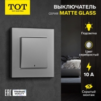 Выключатель TOT Matte Glass, 10 А, 1 кл., с подсветкой, скрытый, стекло, серебристый