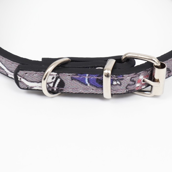 Ошейник с косынкой Ошейник с косынкой "Яркая жизнь", 32 х 1 см, серый