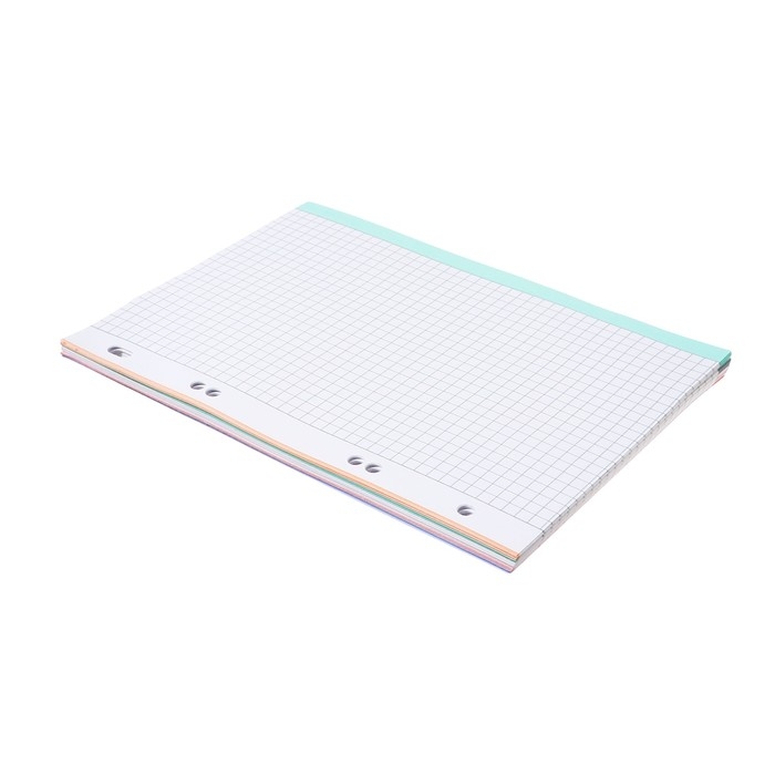 Сменный блок для тетрадей на кольцах А5, 80 листов в клетку, многоцветный срез, в индивидуальной упаковке, блок 65 г/м2 Сменный блок для тетрадей на кольцах А5, 80 листов в клетку, многоцветный срез, в индивидуальной упаковке, блок 65 г/м2