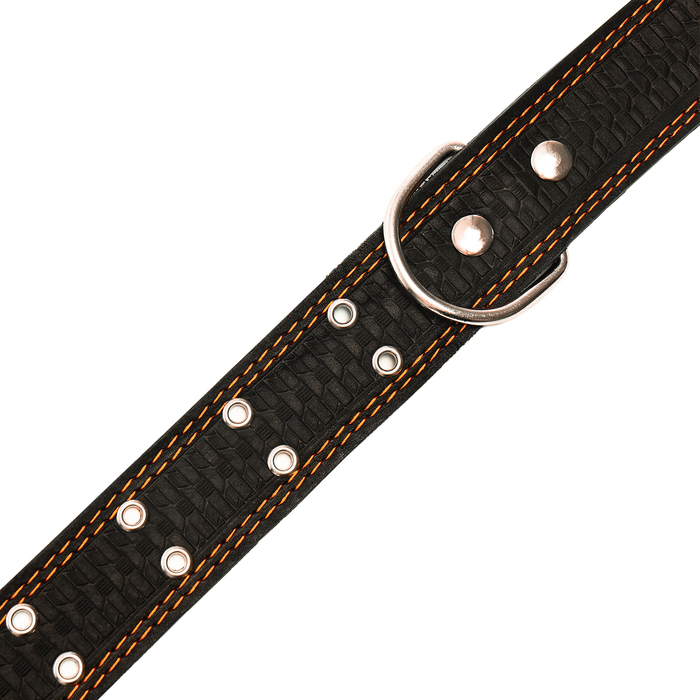 Ошейник кожаный тисненый однослойный, безразмерный, 74 х 4,5 см, ОШ 35-65 см, микс цветов Ошейник кожаный тисненый однослойный, безразмерный, 74 х 4,5 см, ОШ 35-65 см, микс цветов