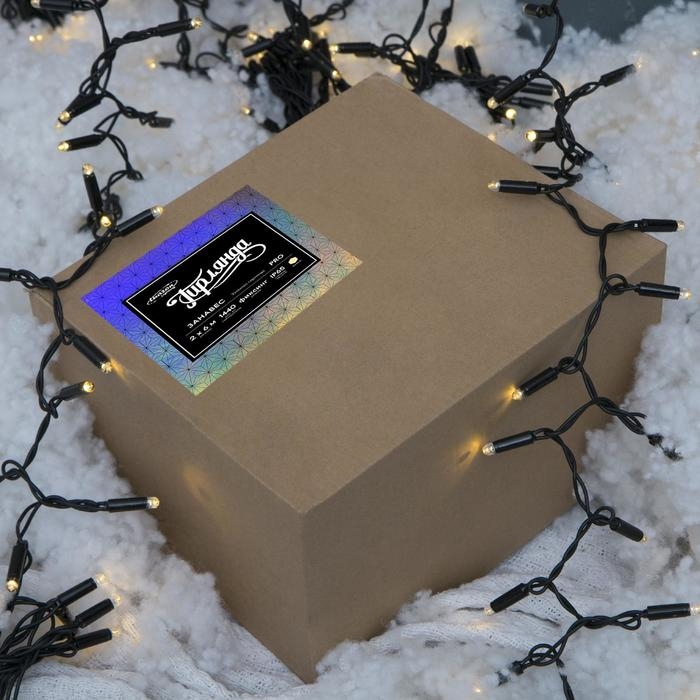 Гирлянда «Занавес» 2 × 6 м, IP65, УМС, тёмная нить, 1440 LED, свечение тёплое белое, 220 В