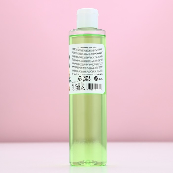 Гель для душа «С Новым Годом!», 250 мл, аромат спелого яблока, ЧИСТОЕ СЧАСТЬЕ Гель для душа «С Новым Годом!», 250 мл, аромат спелого яблока, ЧИСТОЕ СЧАСТЬЕ