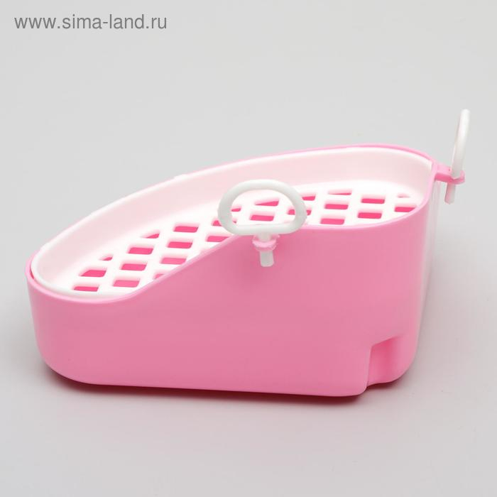 Туалет угловой для кроликов и хорьков, 18,5 х 18 см, микс цветов Туалет угловой для кроликов и хорьков, 18,5 х 18 см, микс цветов