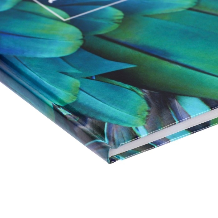 Дневник для 5-11 классов, "Перья", твердая обложка 7БЦ, глянцевая ламинация, 48 листов